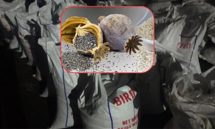 পাখির খাদ্যের আড়ালে পাকিস্তান থেকে এলো ২৫ টন আমদানি নিষিদ্ধ পপি বীজ!